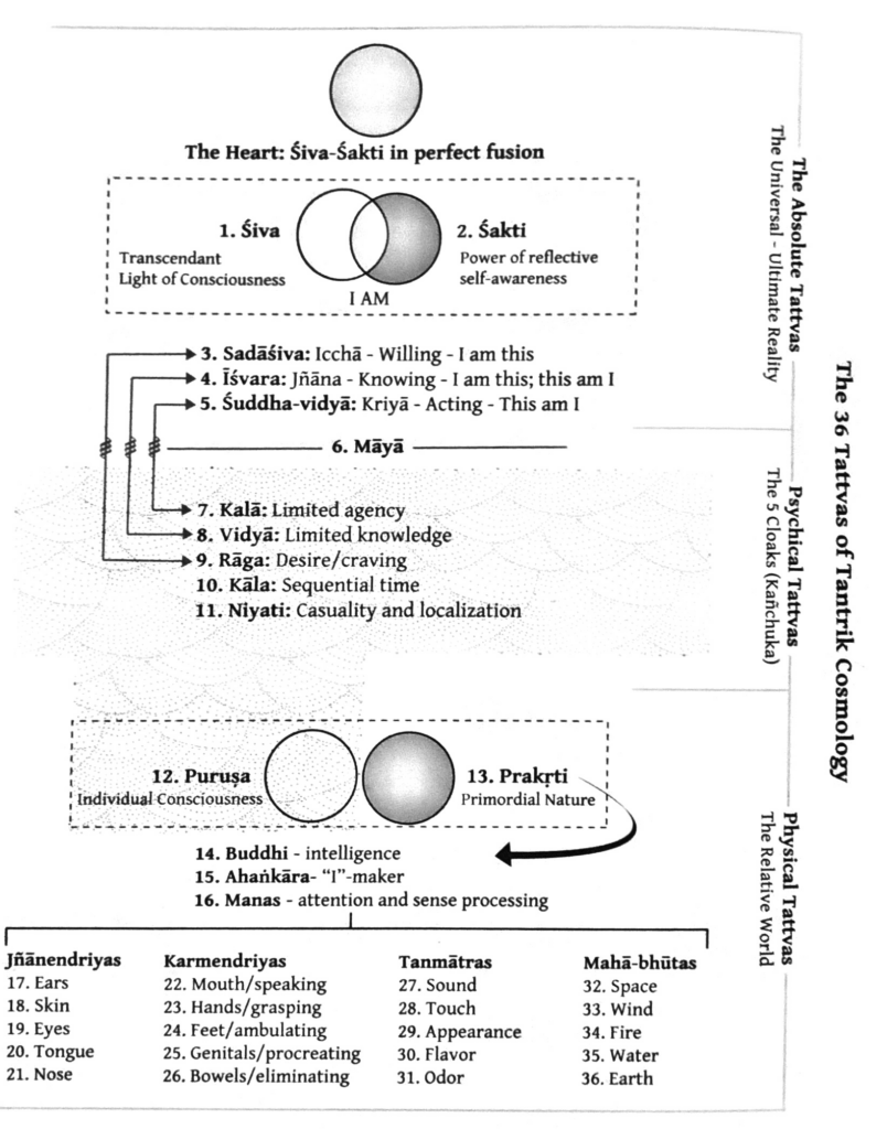 Tattva, Tantrisk Filosofi, Tantra Illuminated, Christopher Wallis