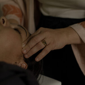 Holistisk stemmeterapi [enkeltsession]